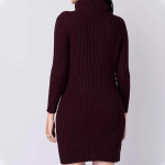 Women Solid High Neck Sweater Dress