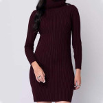 Women Solid High Neck Sweater Dress